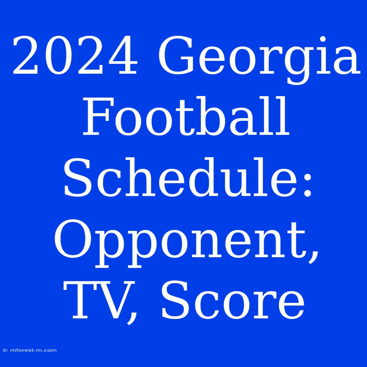 2024 Georgia Football Schedule:  Opponent, TV, Score 