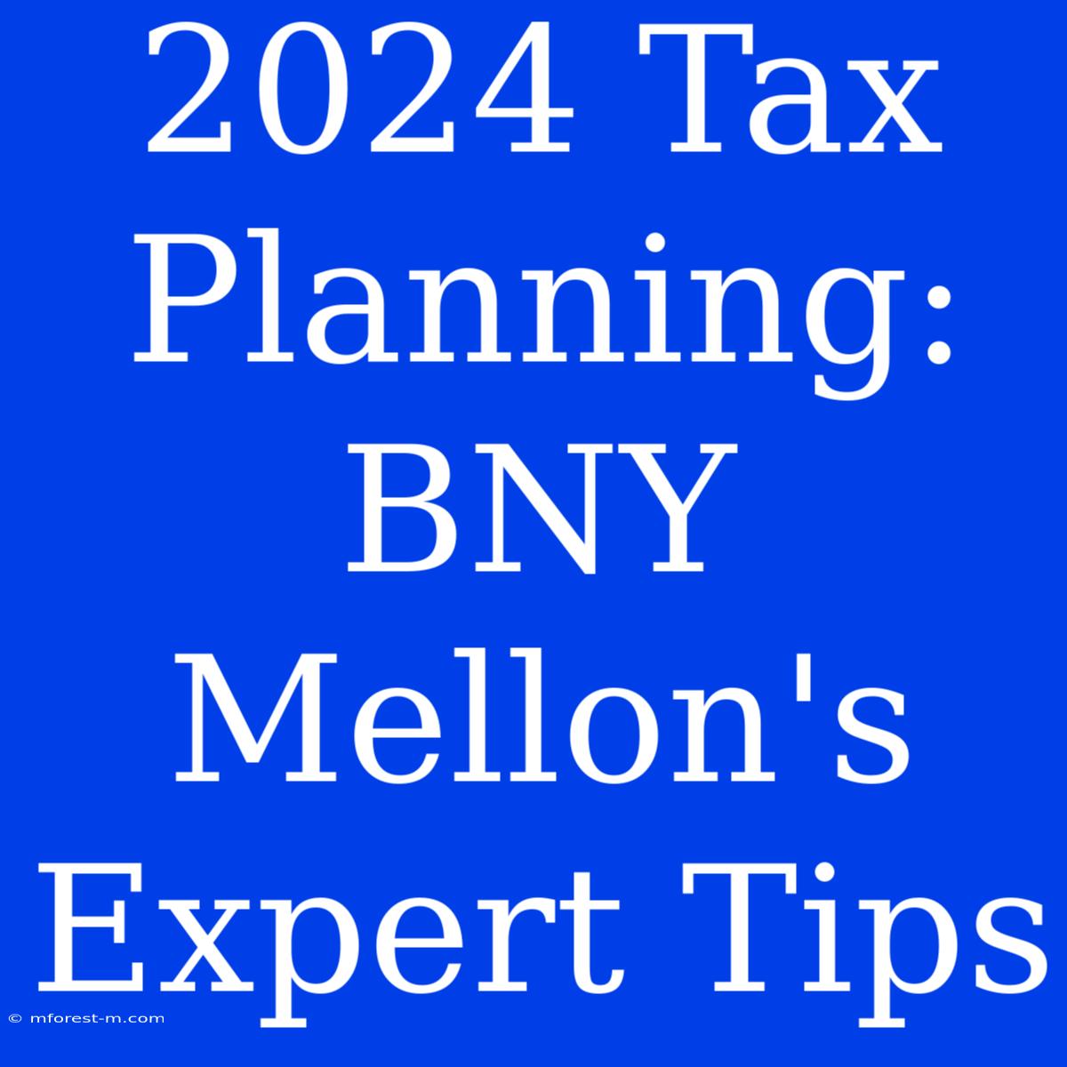 2024 Tax Planning: BNY Mellon's Expert Tips