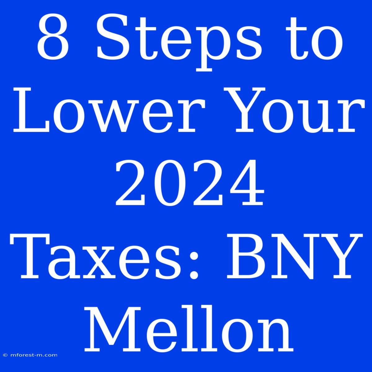 8 Steps To Lower Your 2024 Taxes: BNY Mellon