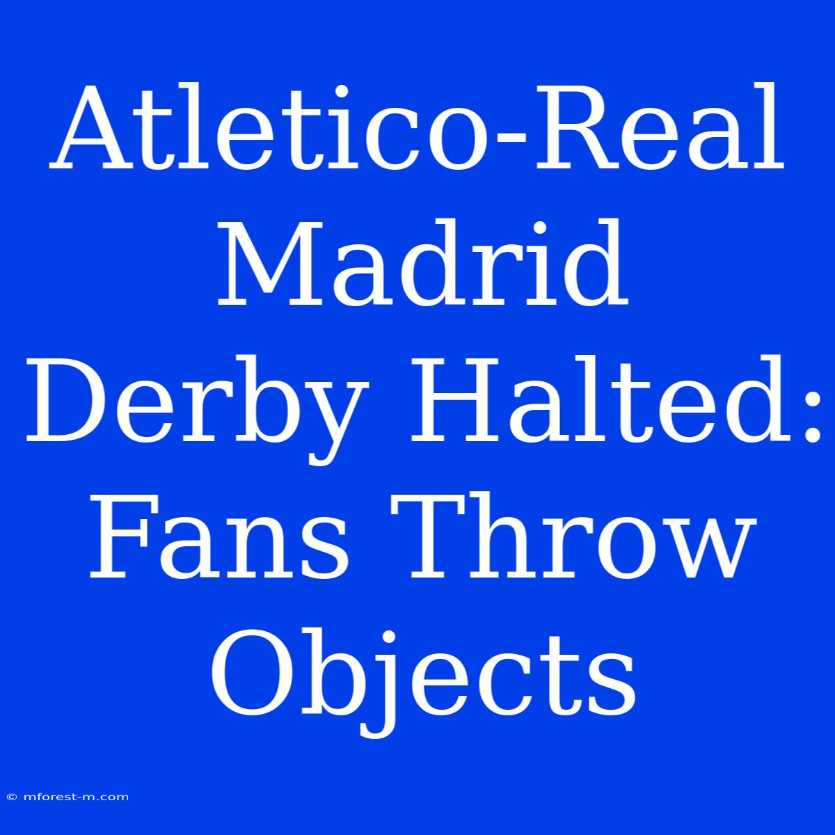 Atletico-Real Madrid Derby Halted: Fans Throw Objects