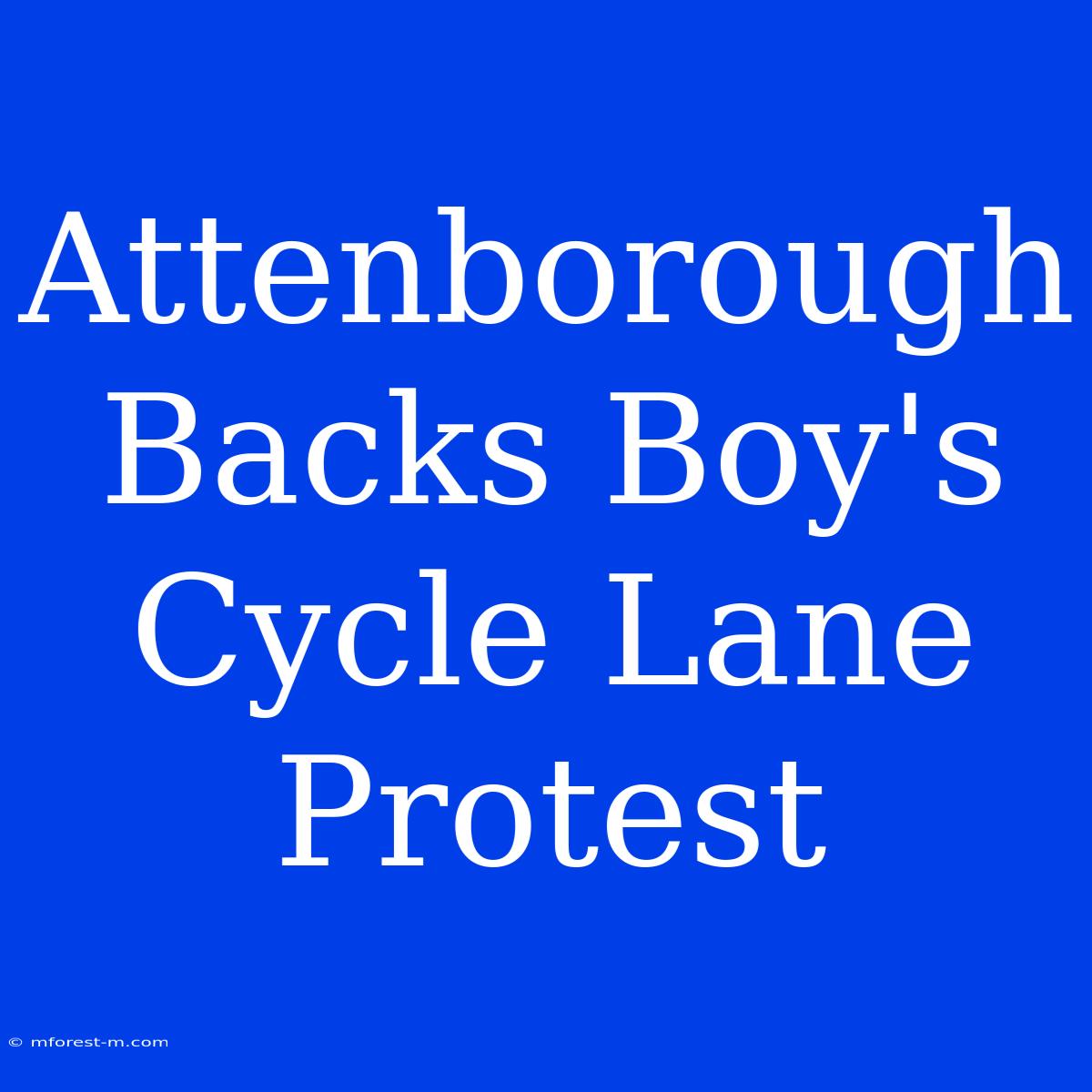 Attenborough Backs Boy's Cycle Lane Protest