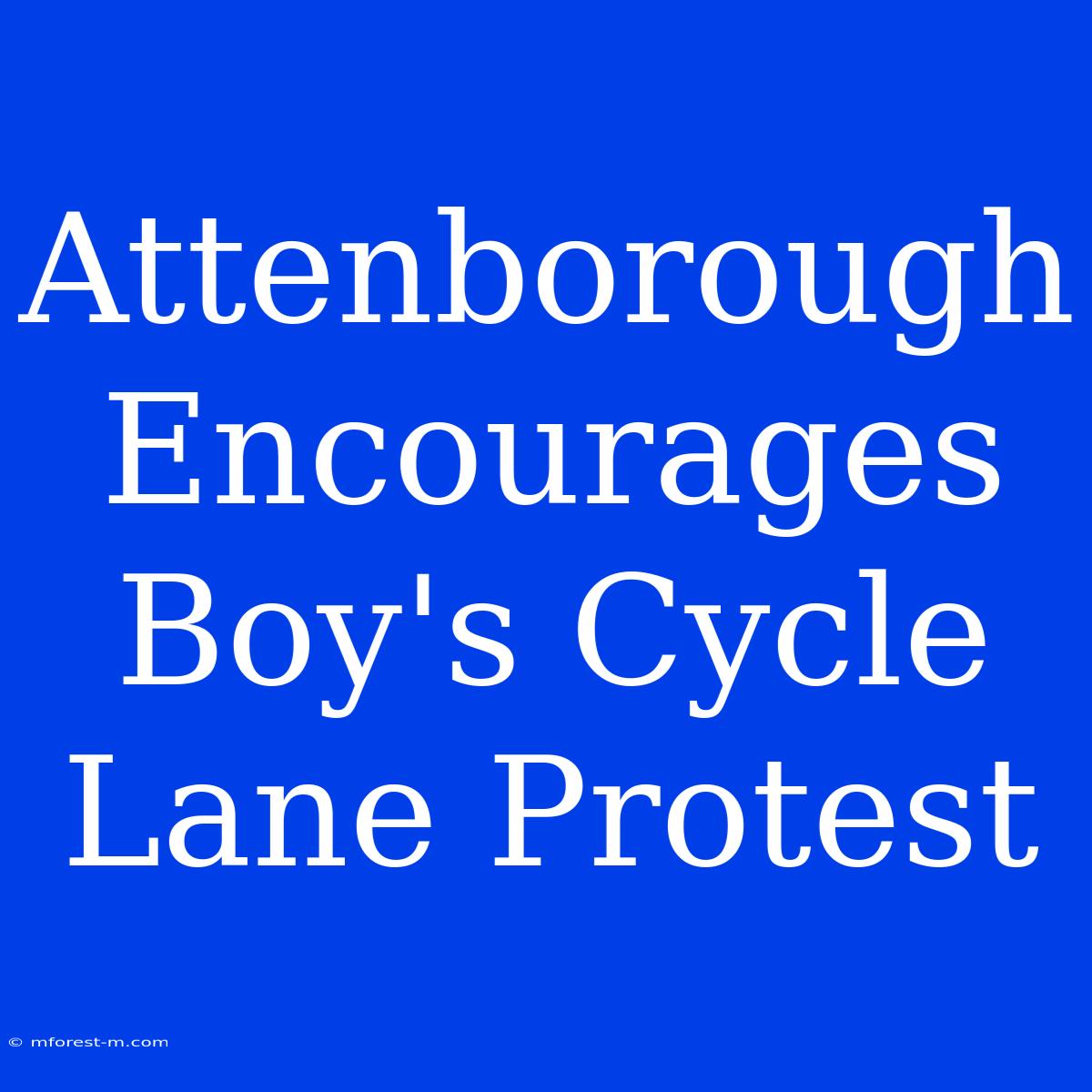 Attenborough Encourages Boy's Cycle Lane Protest