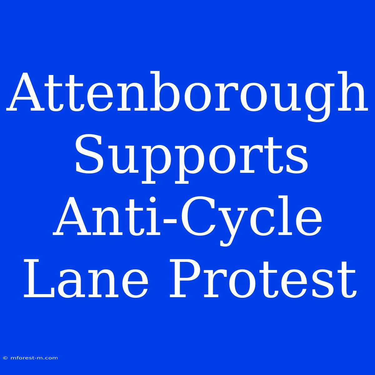 Attenborough Supports Anti-Cycle Lane Protest