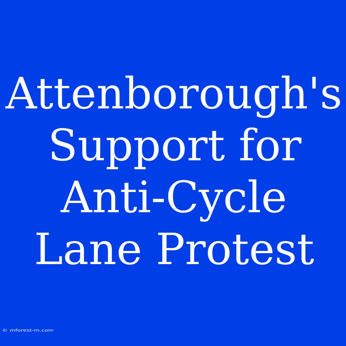 Attenborough's Support For Anti-Cycle Lane Protest