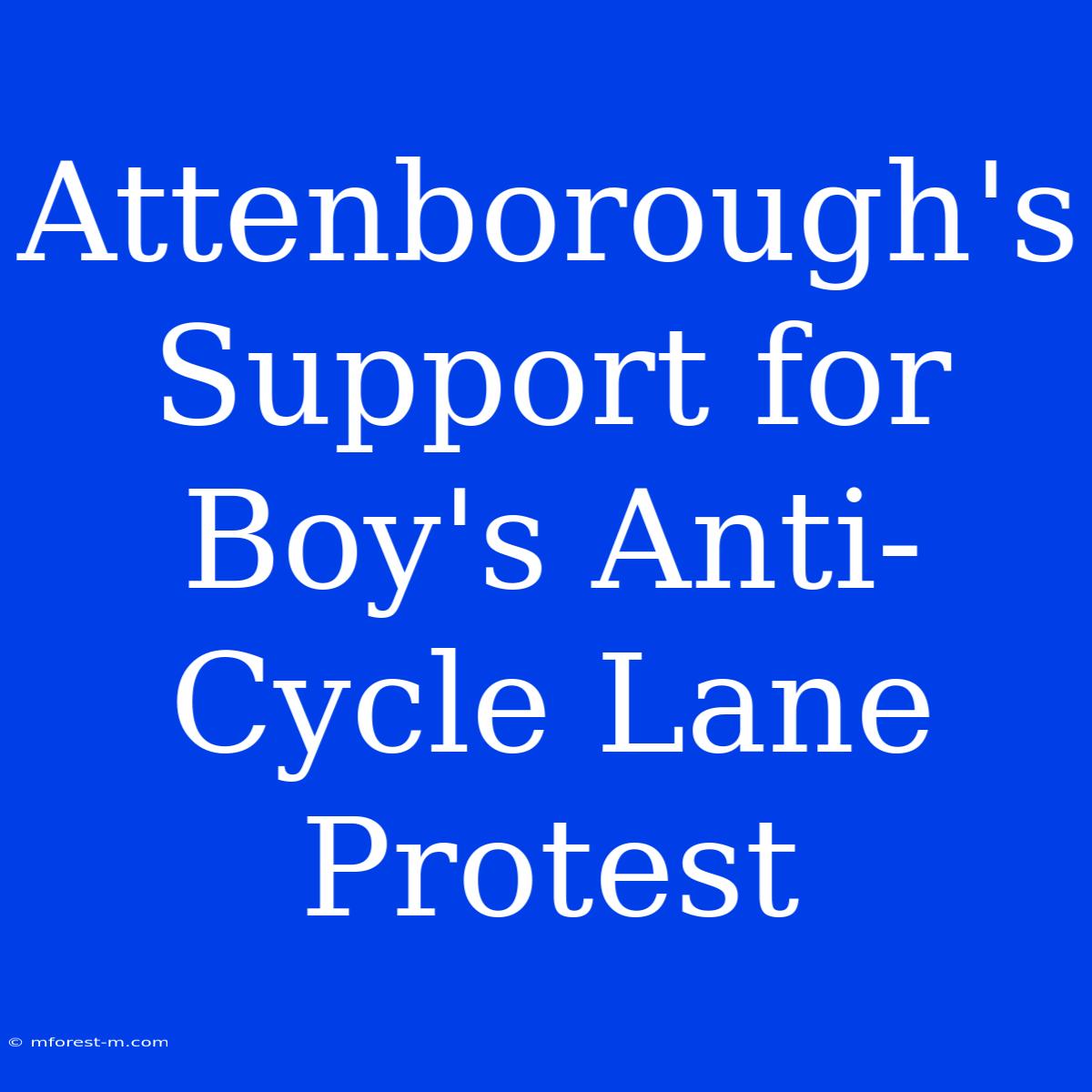 Attenborough's Support For Boy's Anti-Cycle Lane Protest 