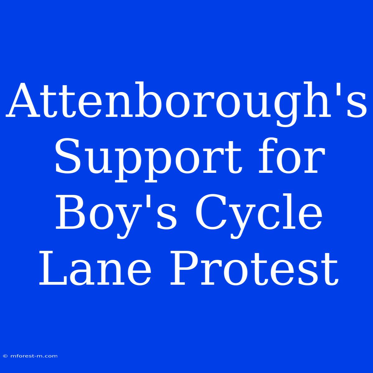 Attenborough's Support For Boy's Cycle Lane Protest