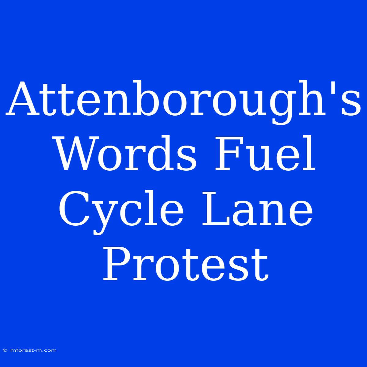 Attenborough's Words Fuel Cycle Lane Protest