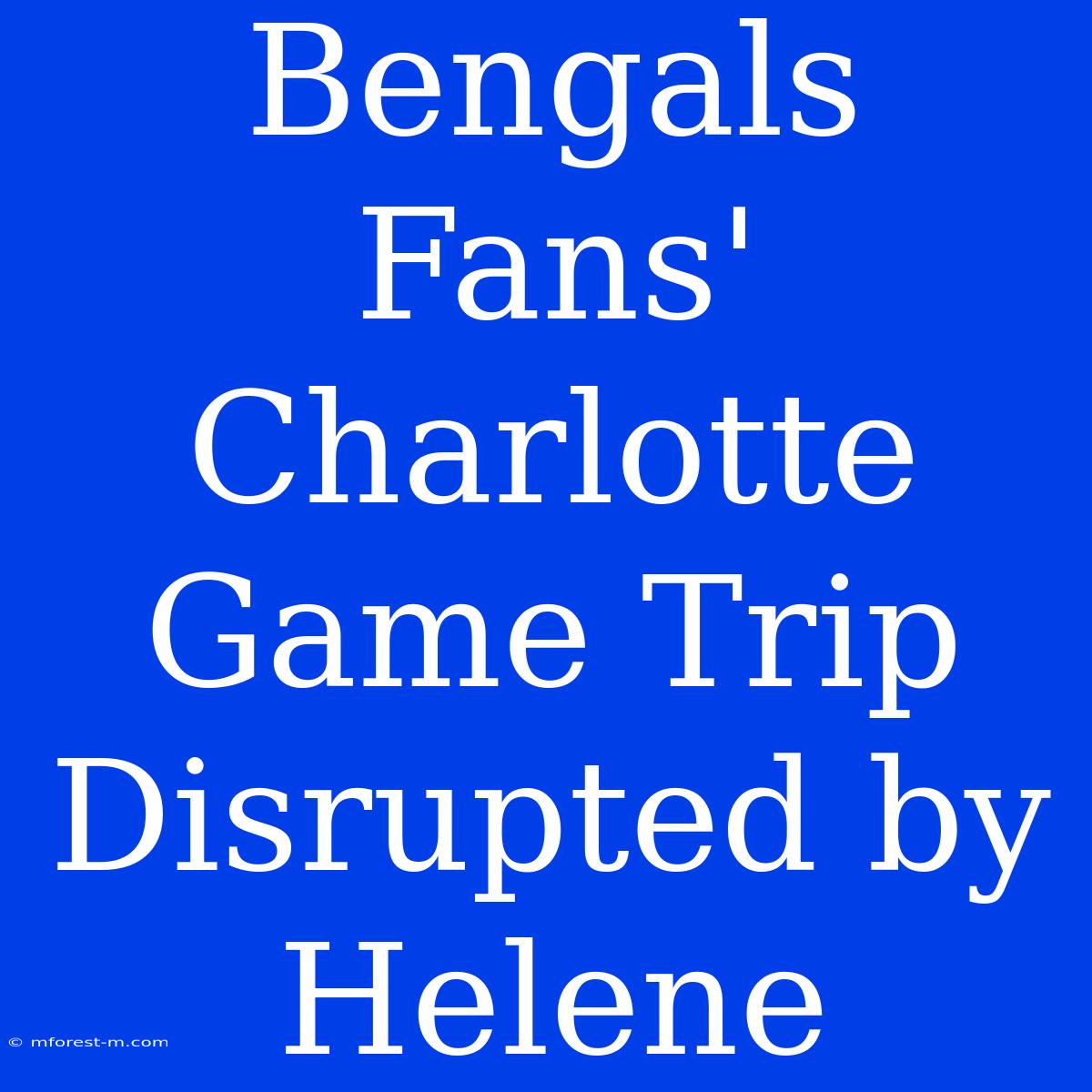 Bengals Fans' Charlotte Game Trip Disrupted By Helene