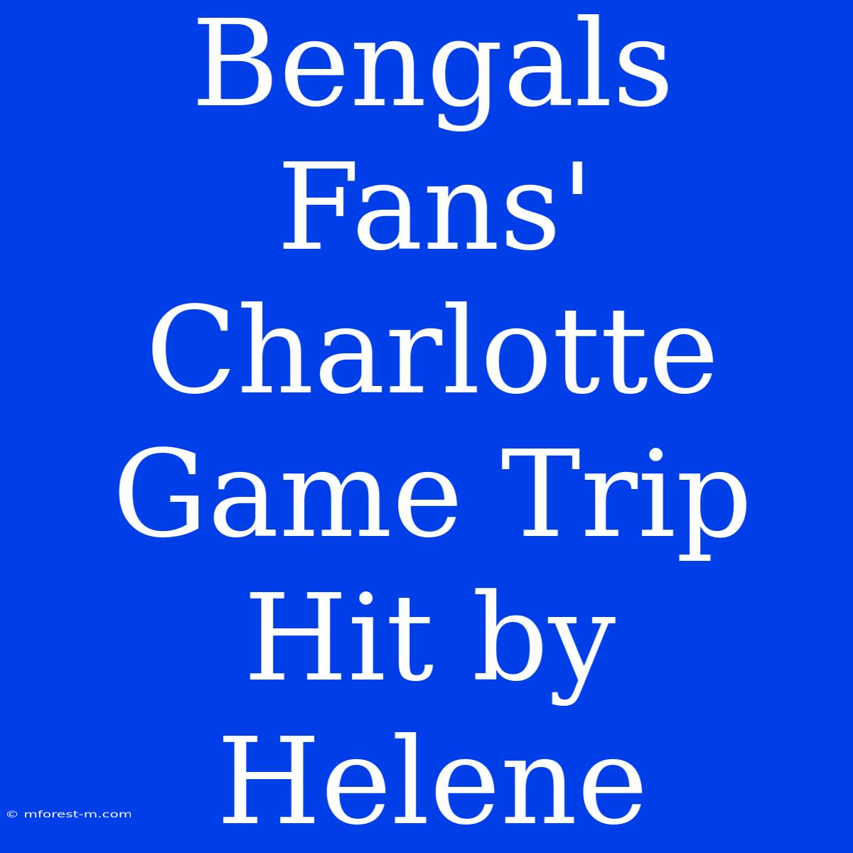 Bengals Fans' Charlotte Game Trip Hit By Helene