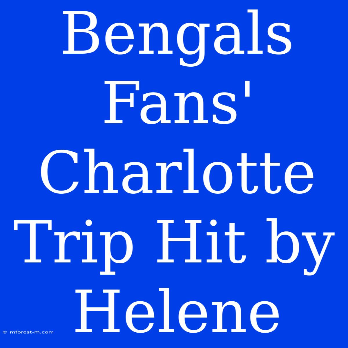 Bengals Fans' Charlotte Trip Hit By Helene