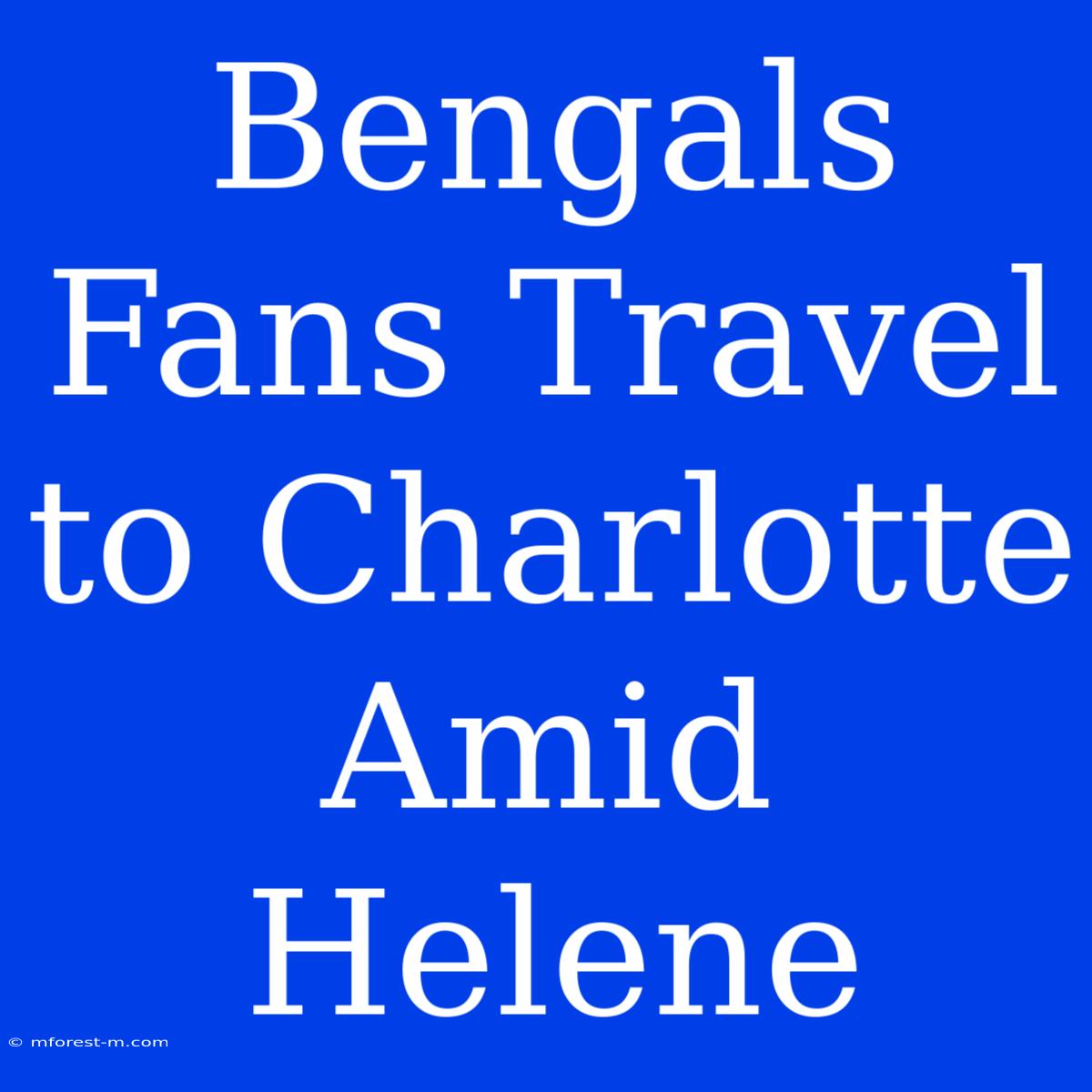 Bengals Fans Travel To Charlotte Amid Helene