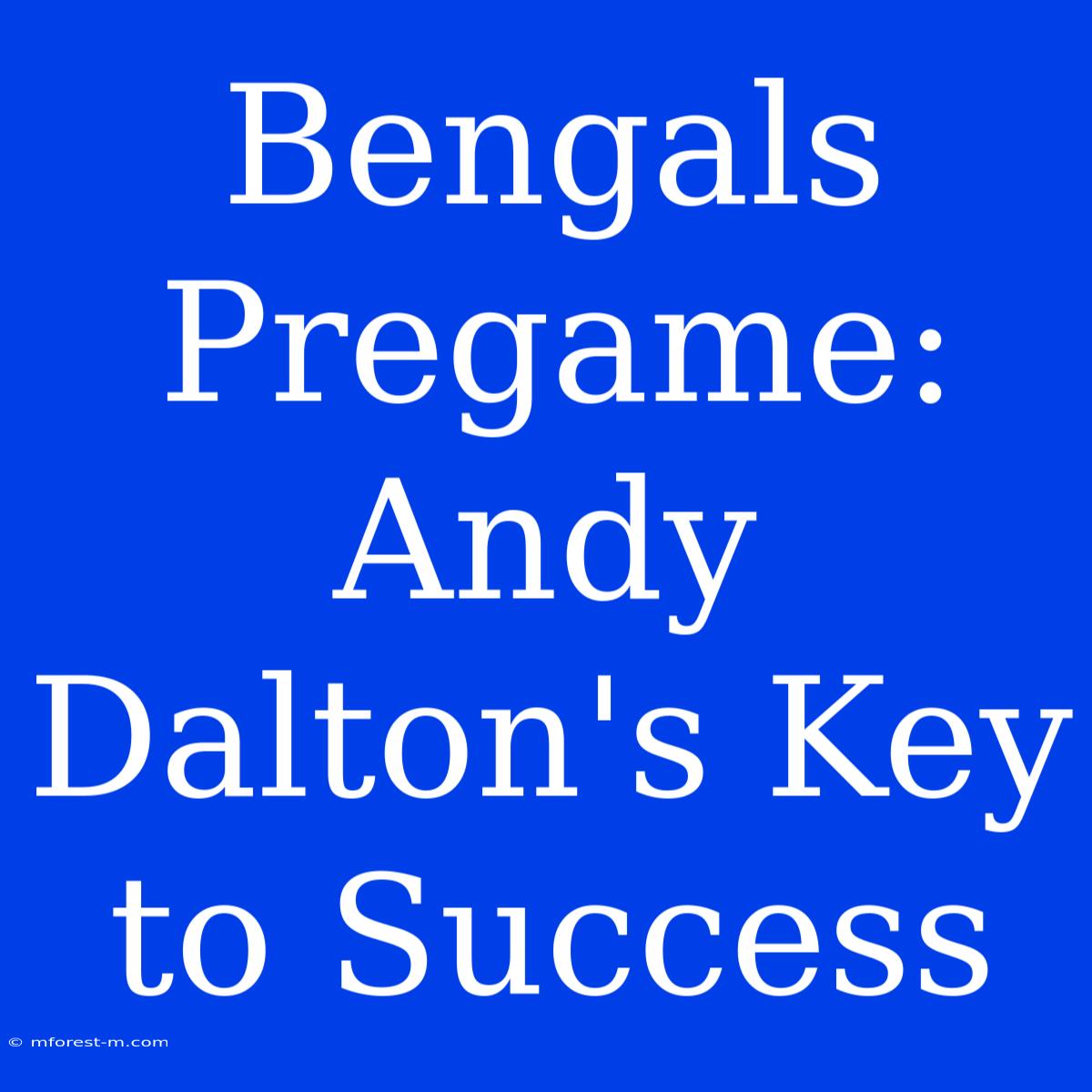 Bengals Pregame: Andy Dalton's Key To Success