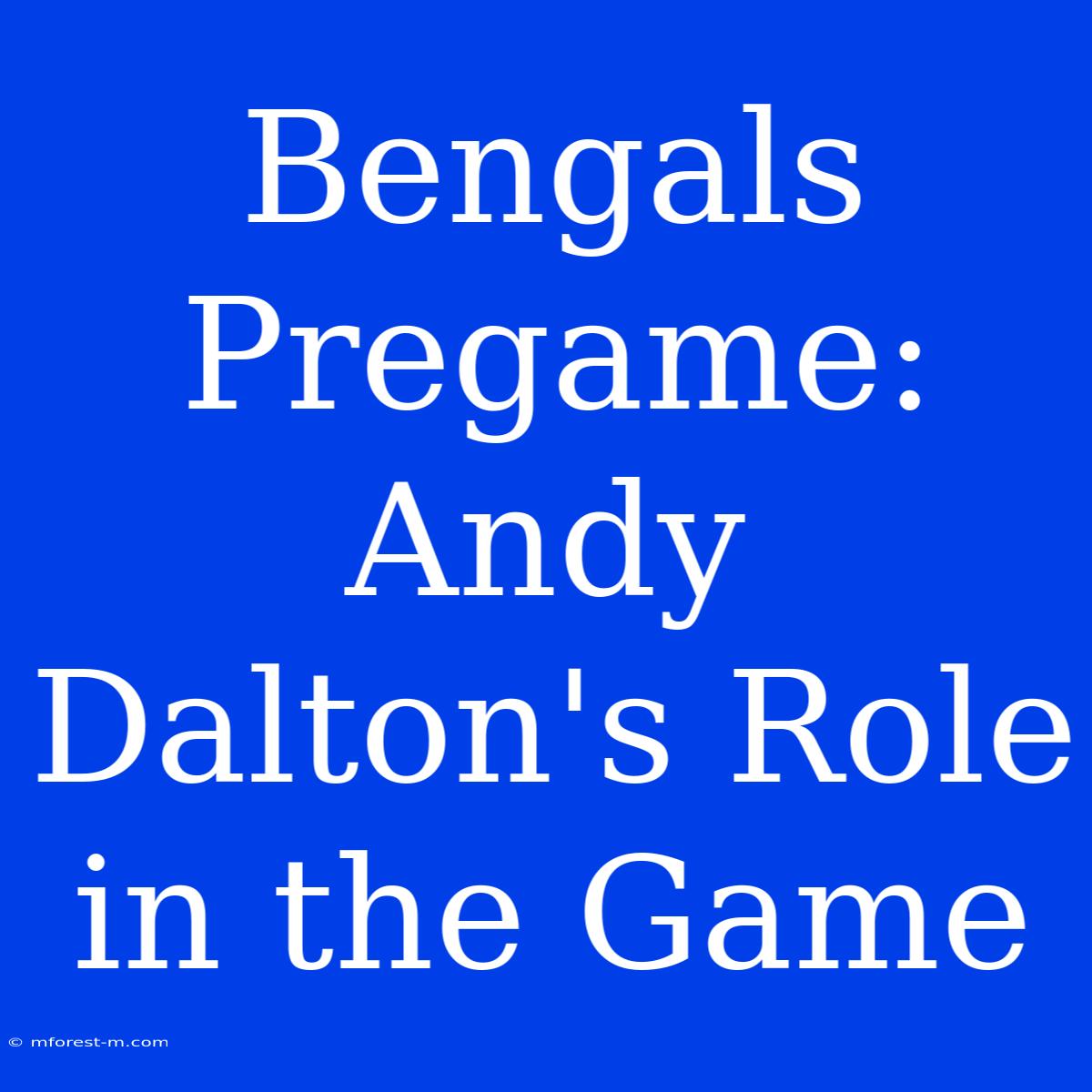 Bengals Pregame: Andy Dalton's Role In The Game