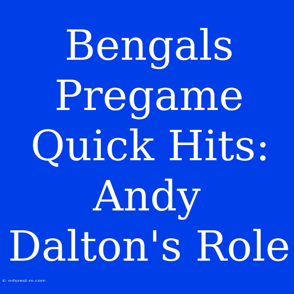 Bengals Pregame Quick Hits:  Andy Dalton's Role 