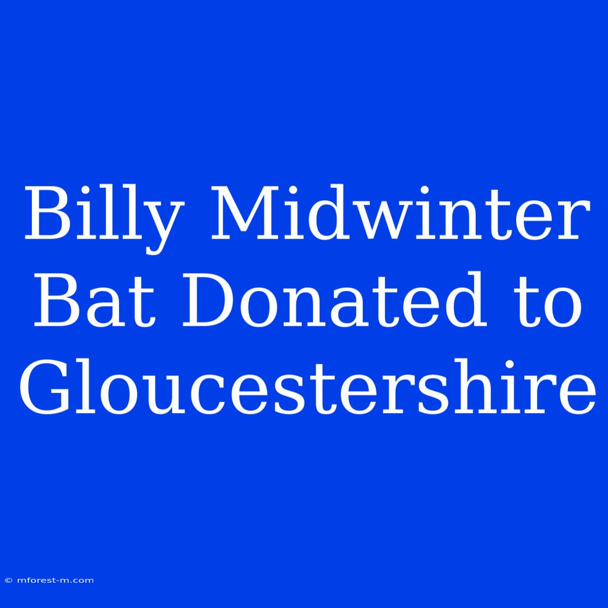 Billy Midwinter Bat Donated To Gloucestershire