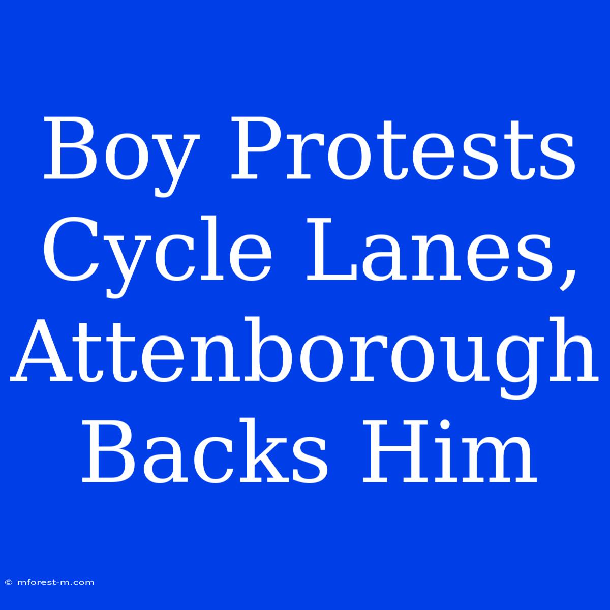 Boy Protests Cycle Lanes, Attenborough Backs Him