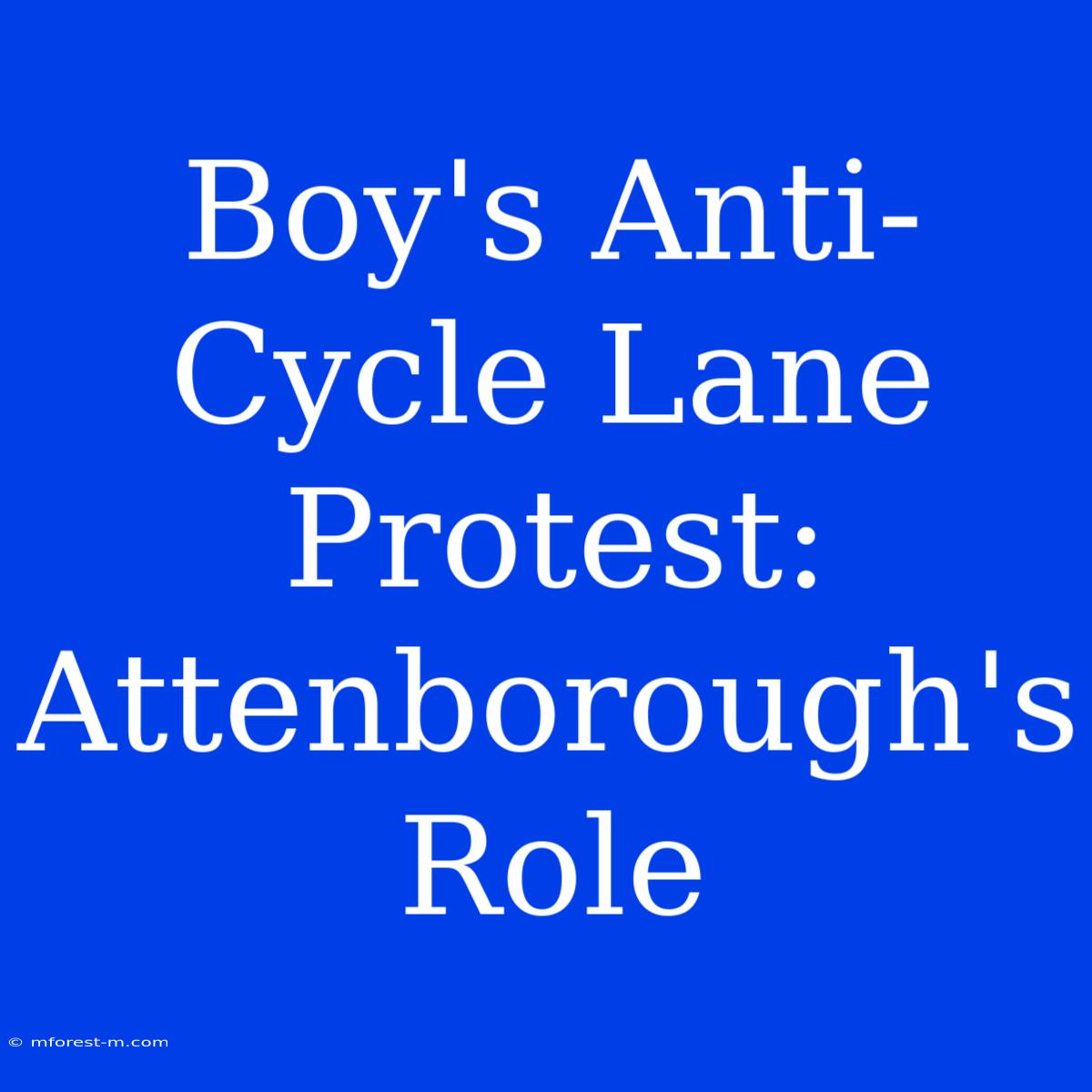 Boy's Anti-Cycle Lane Protest: Attenborough's Role