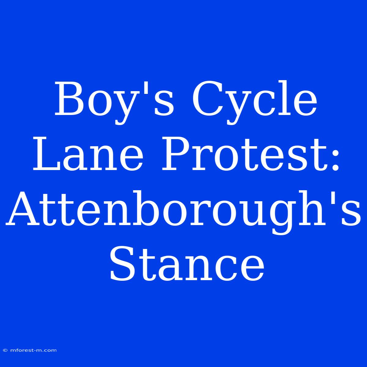 Boy's Cycle Lane Protest: Attenborough's Stance