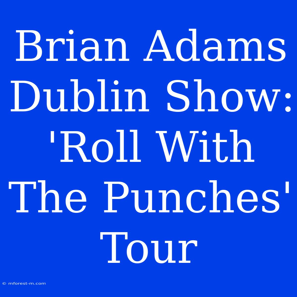 Brian Adams Dublin Show: 'Roll With The Punches' Tour