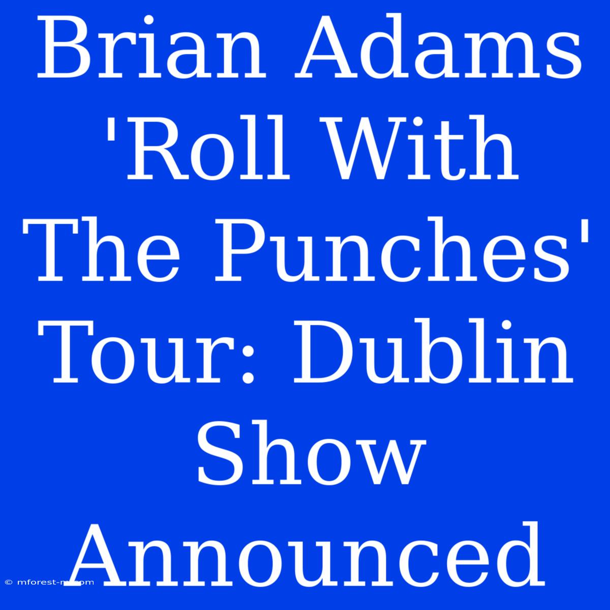 Brian Adams 'Roll With The Punches' Tour: Dublin Show Announced