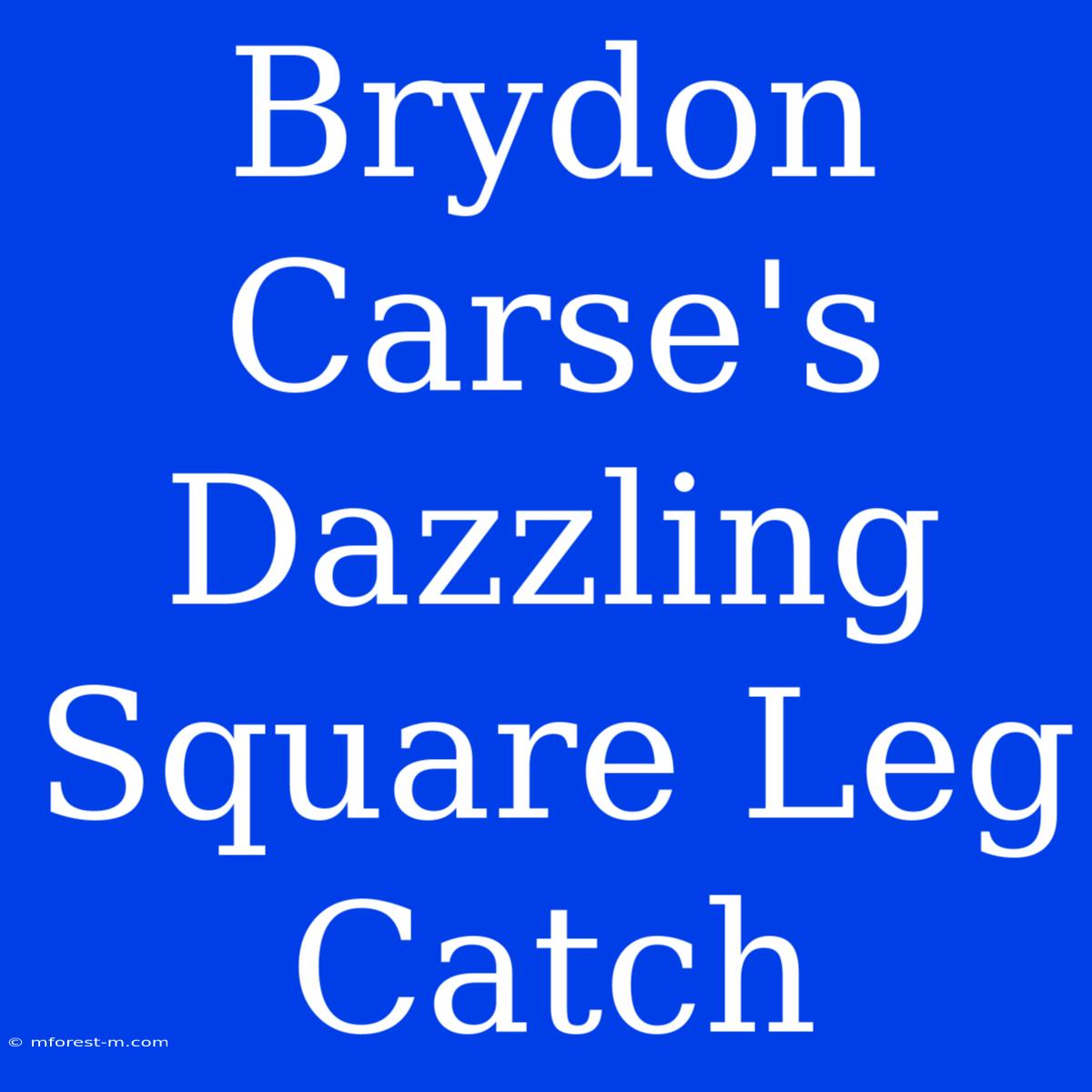 Brydon Carse's Dazzling Square Leg Catch