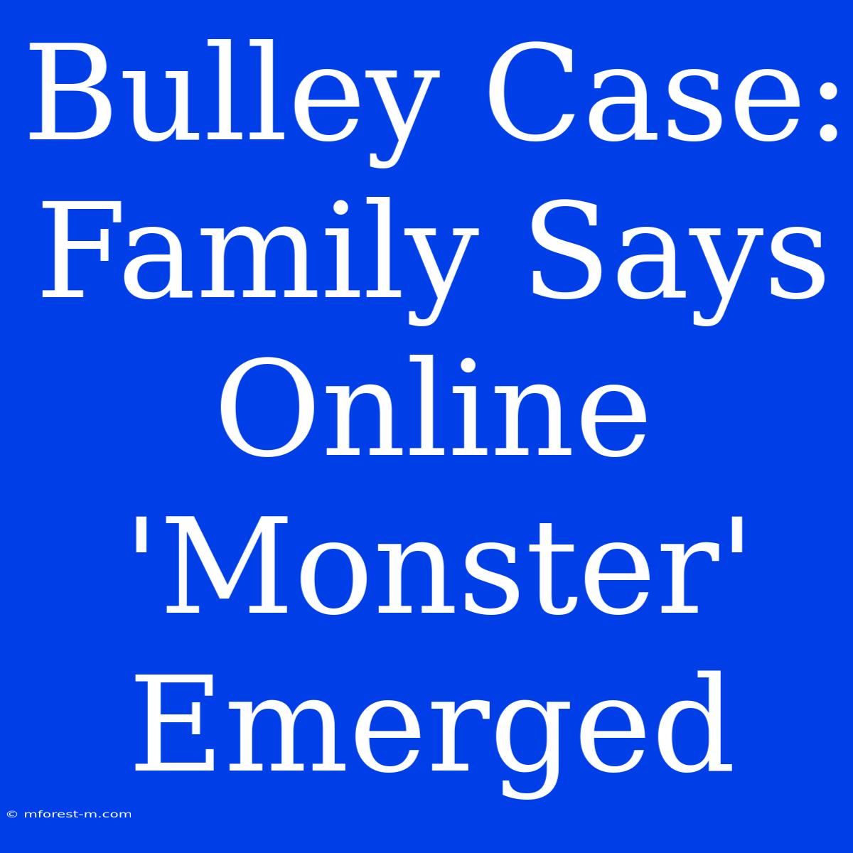 Bulley Case: Family Says Online 'Monster' Emerged