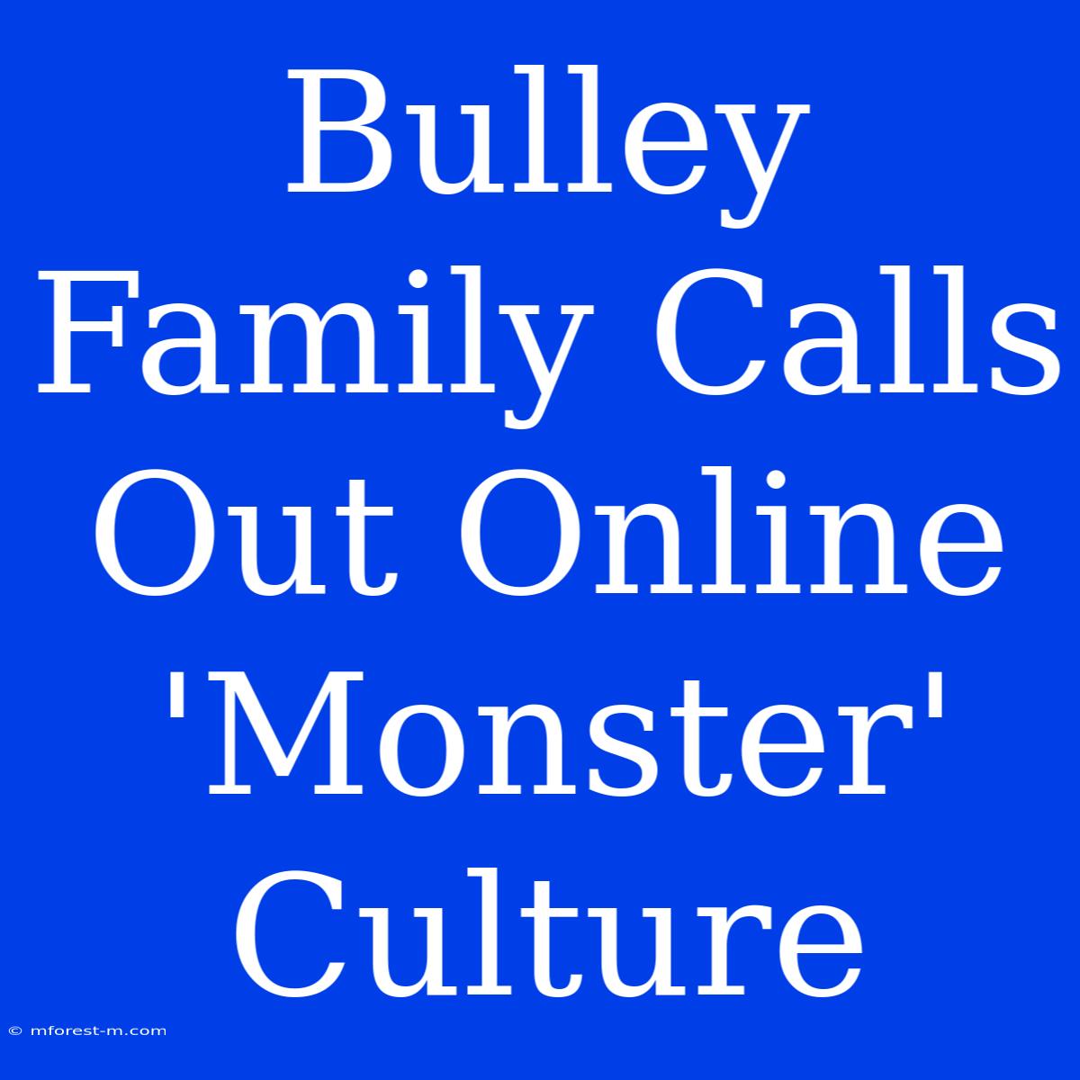 Bulley Family Calls Out Online 'Monster' Culture