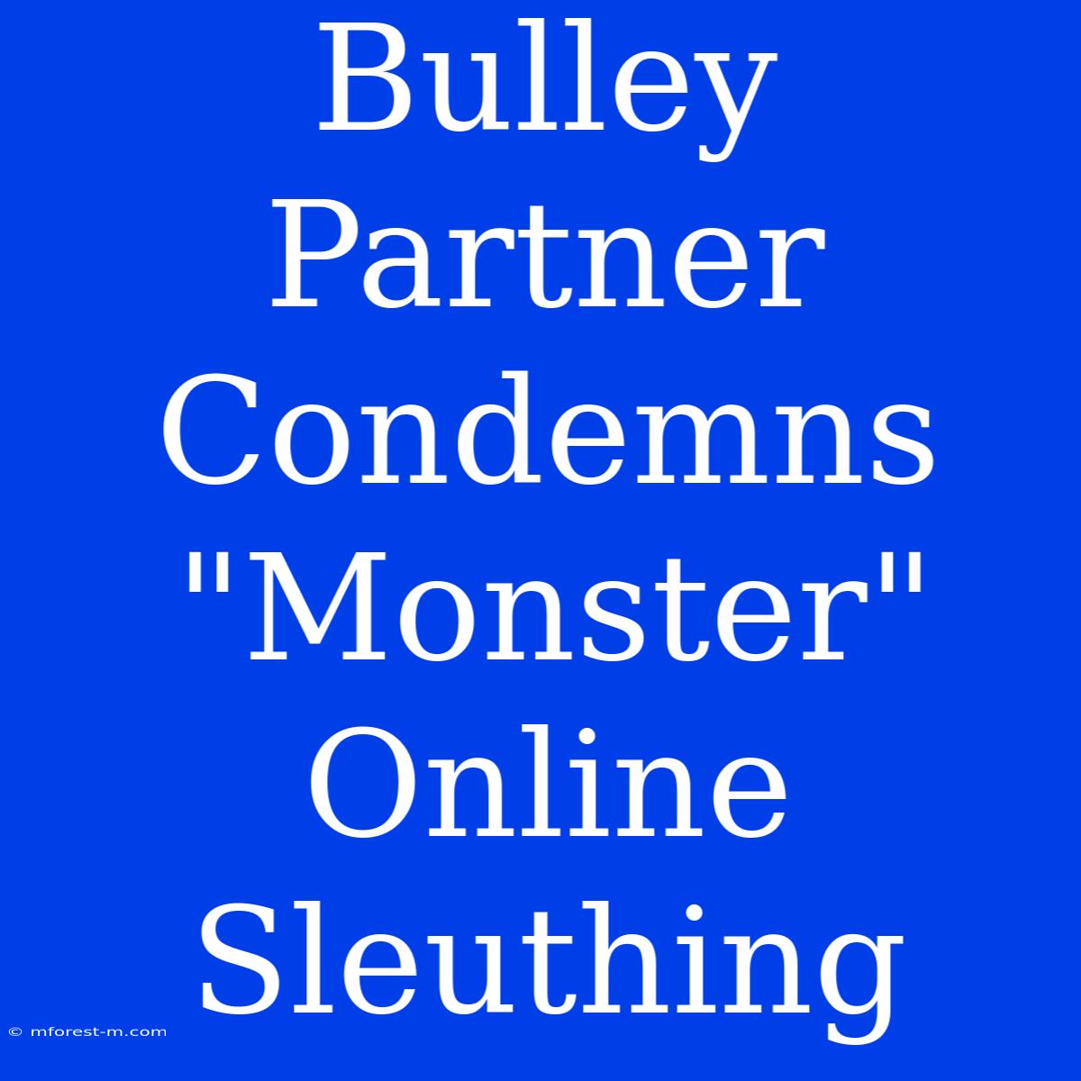 Bulley Partner Condemns 