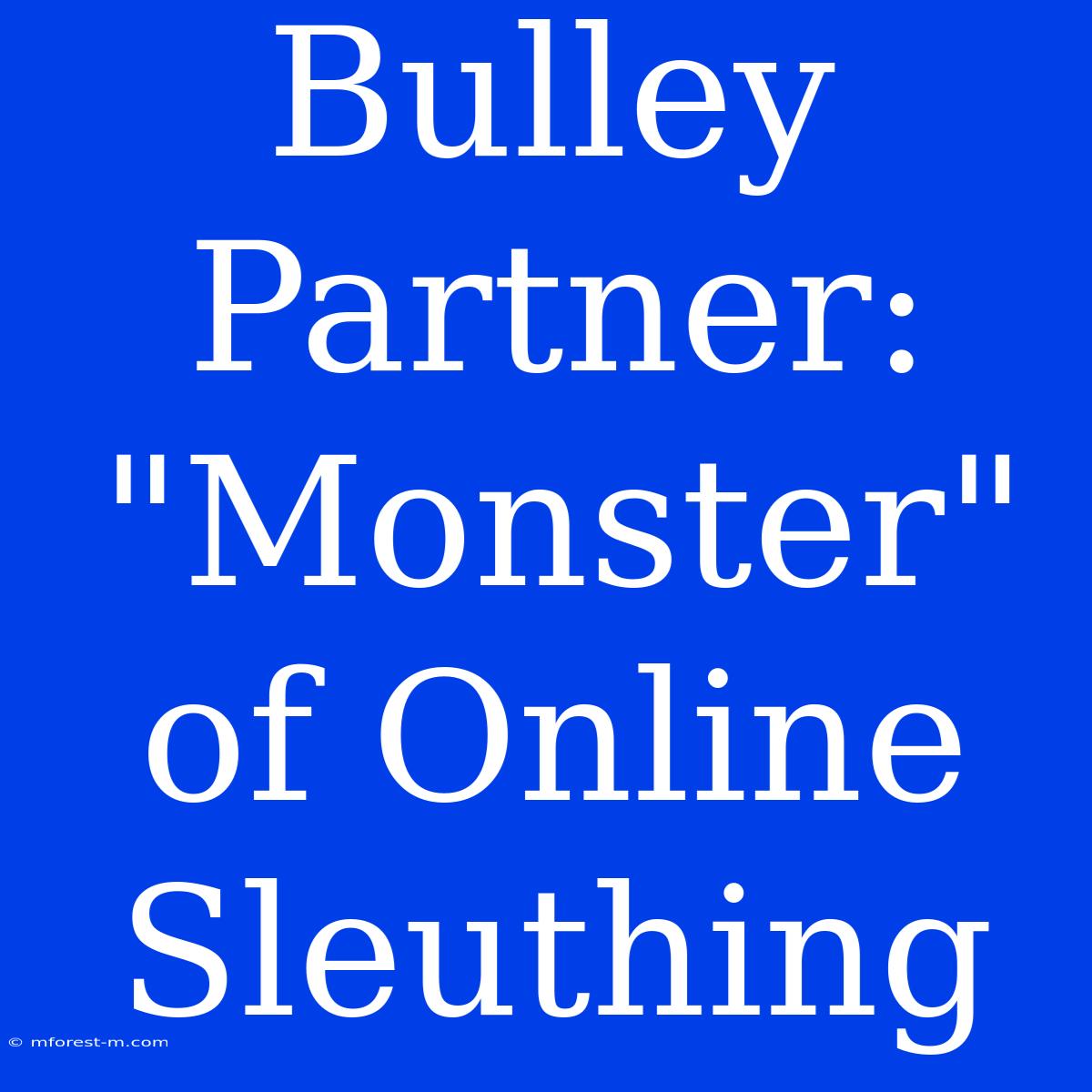 Bulley Partner: 