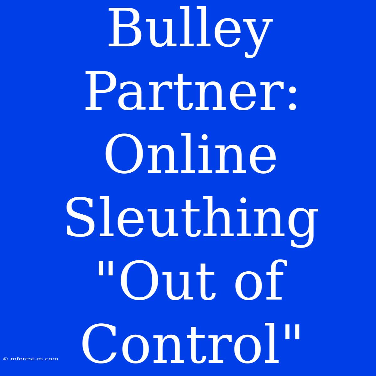 Bulley Partner: Online Sleuthing 