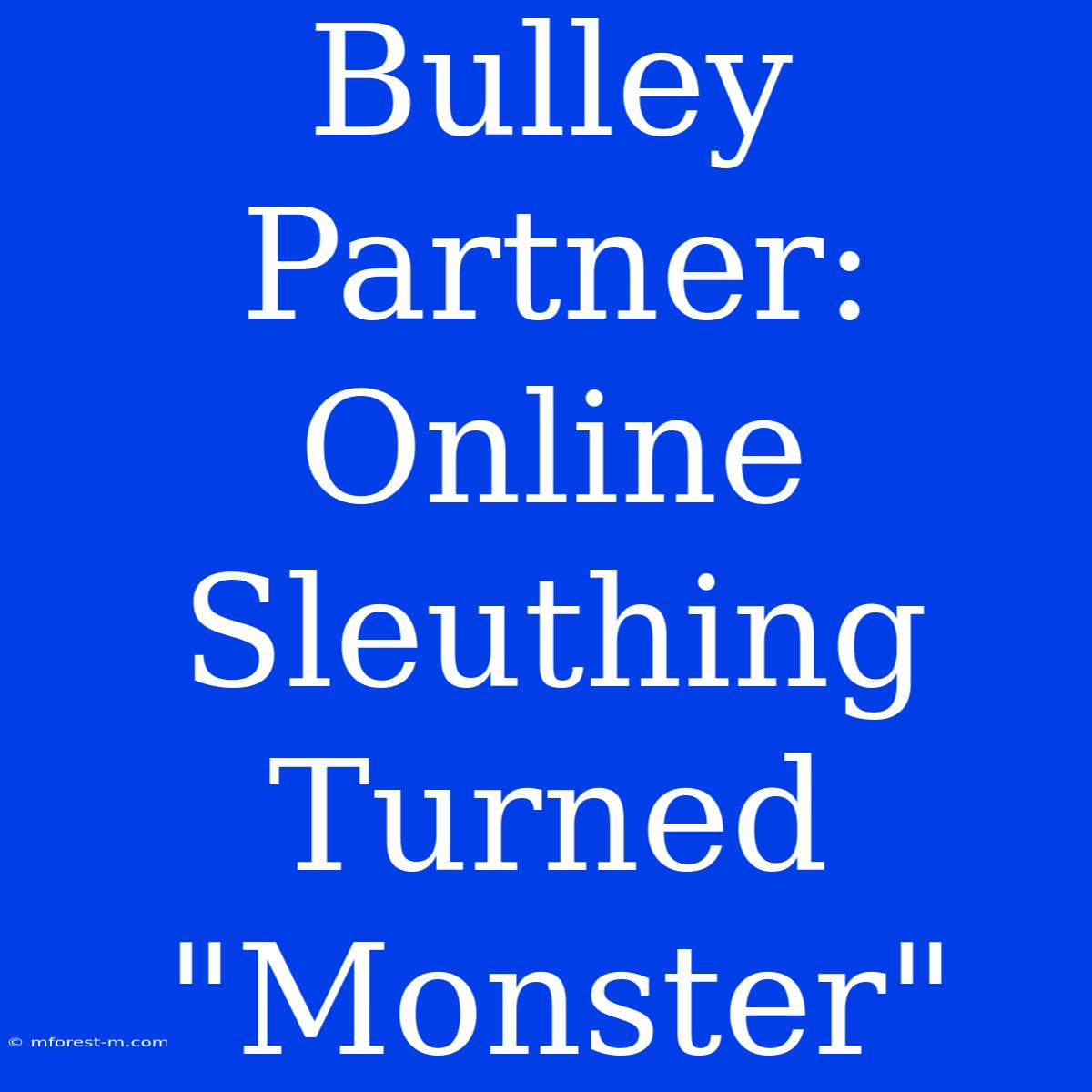 Bulley Partner: Online Sleuthing Turned 