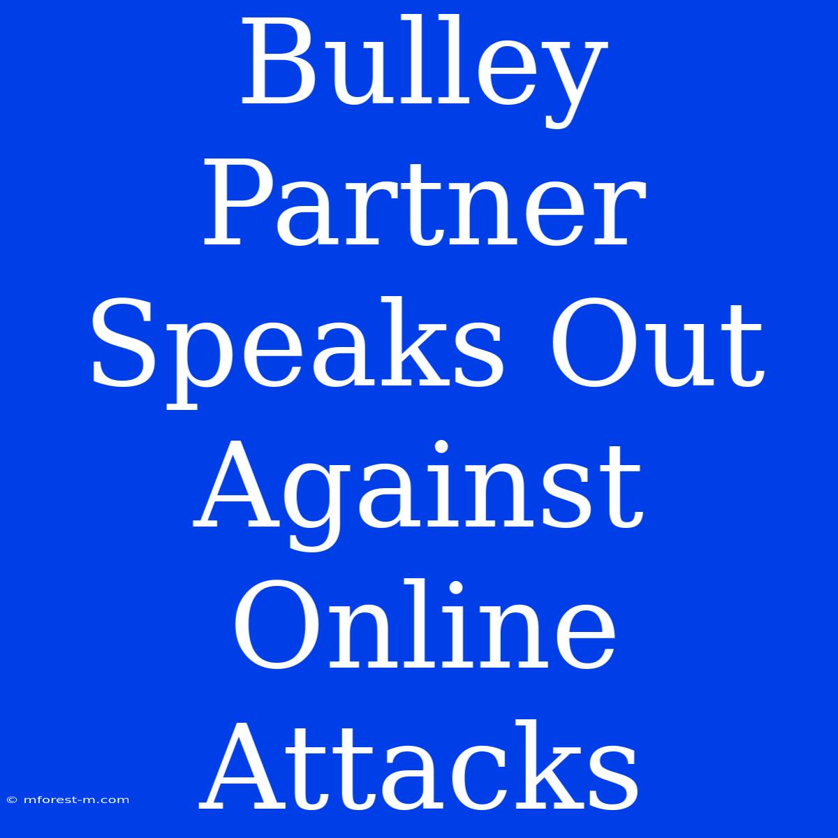 Bulley Partner Speaks Out Against Online Attacks 