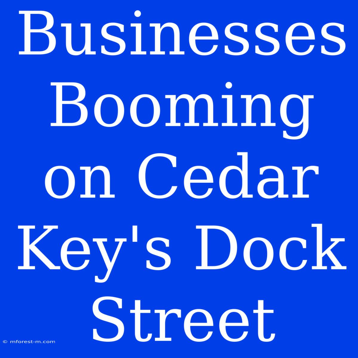 Businesses Booming On Cedar Key's Dock Street