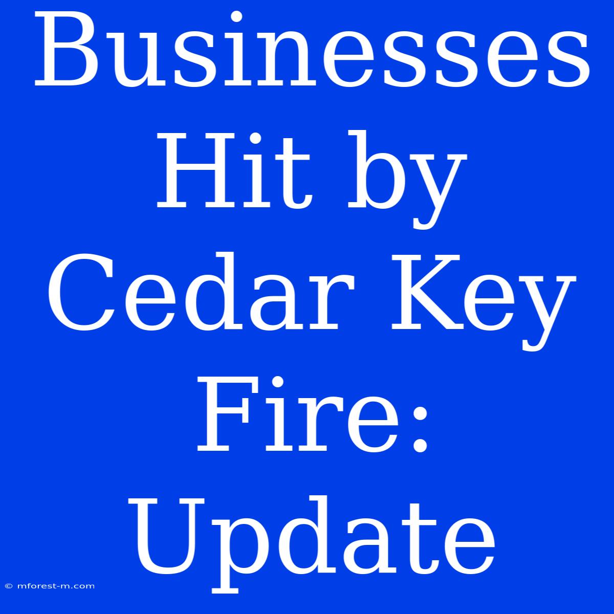 Businesses Hit By Cedar Key Fire: Update