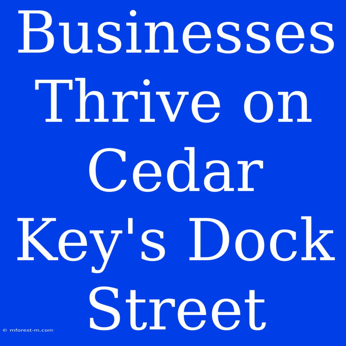 Businesses Thrive On Cedar Key's Dock Street