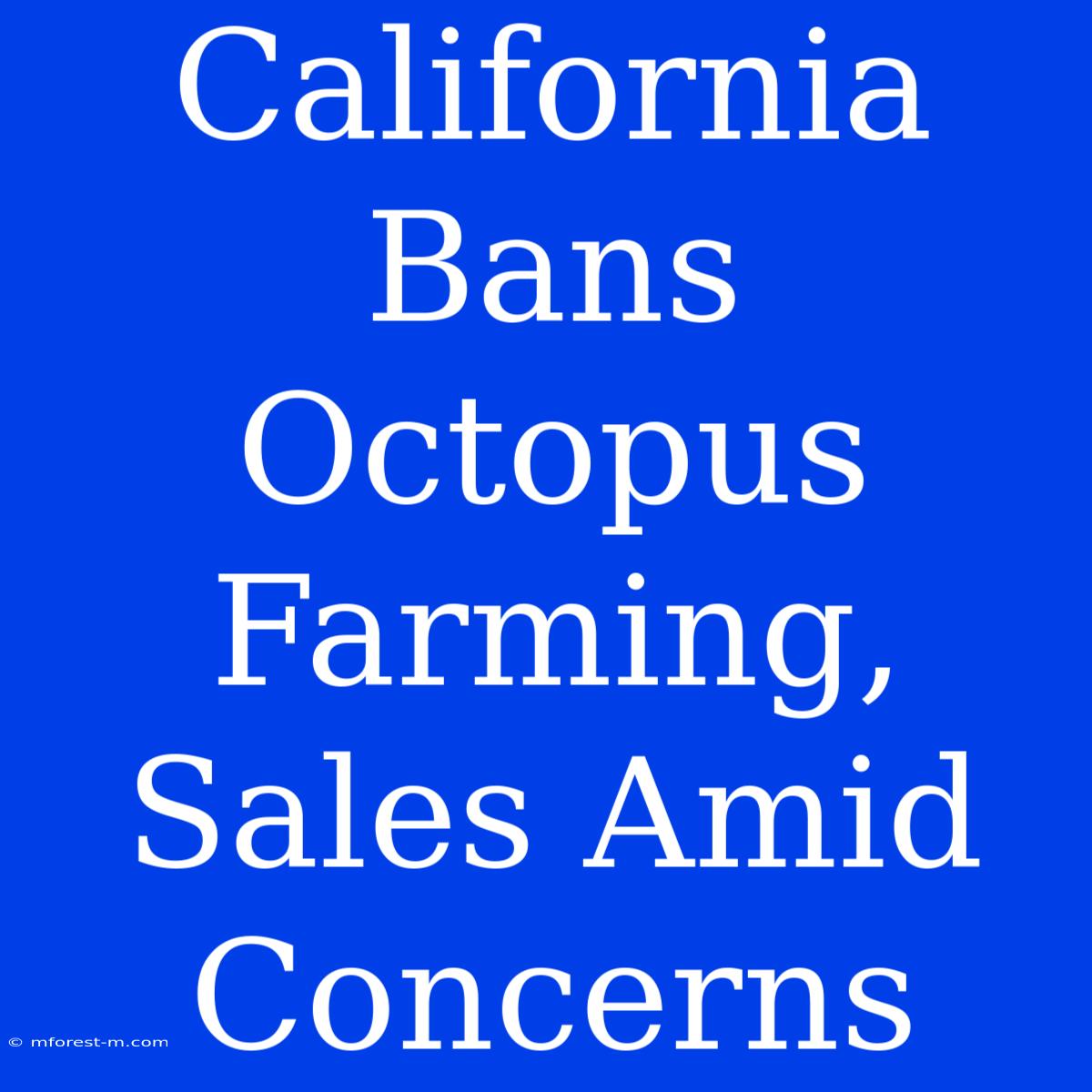 California Bans Octopus Farming, Sales Amid Concerns