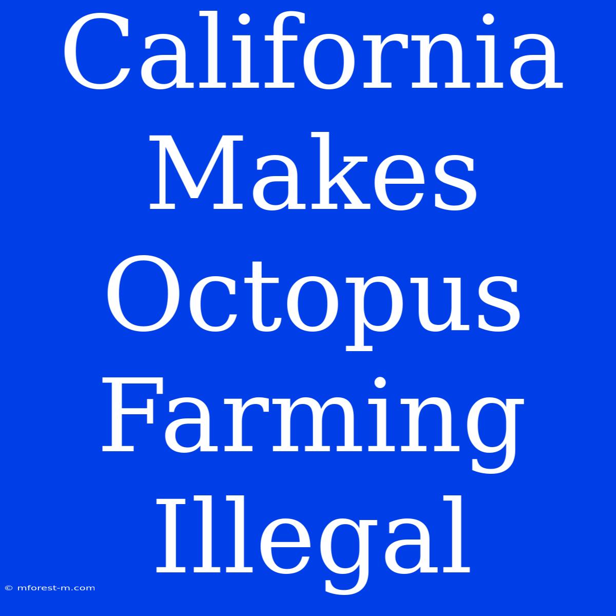 California Makes Octopus Farming Illegal