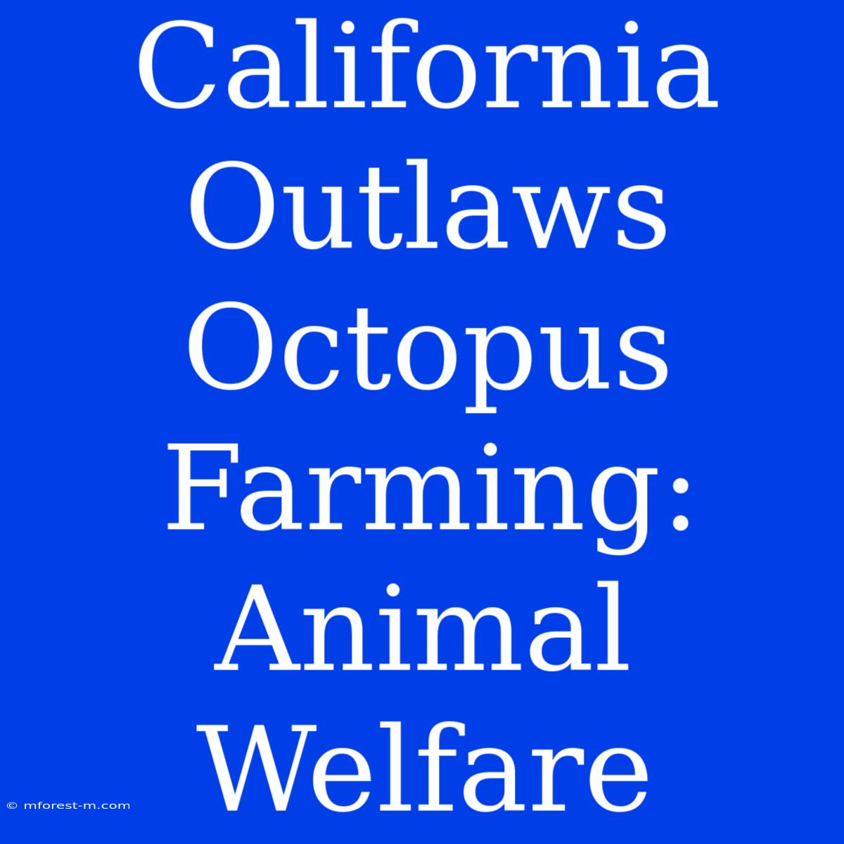 California Outlaws Octopus Farming: Animal Welfare