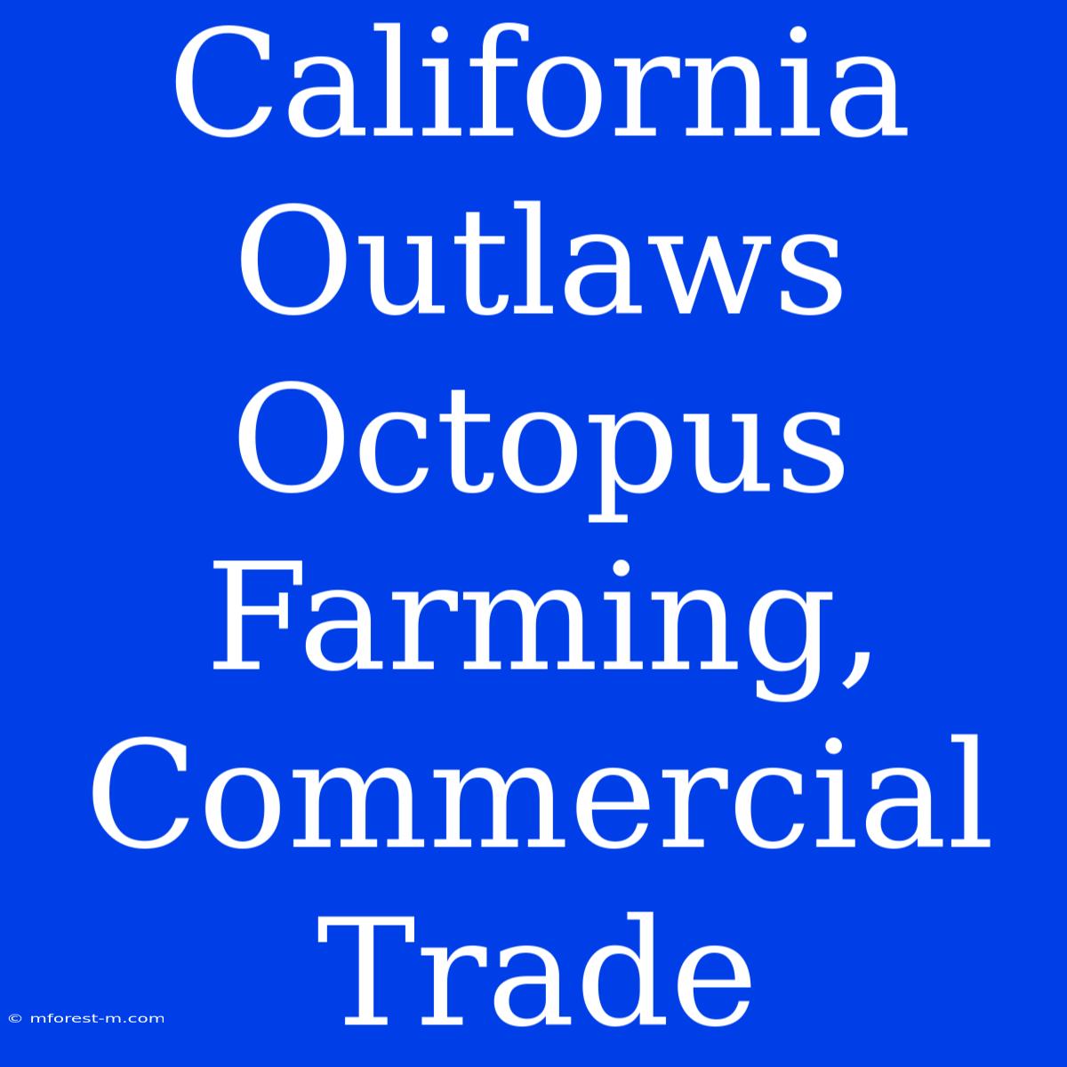 California Outlaws Octopus Farming, Commercial Trade