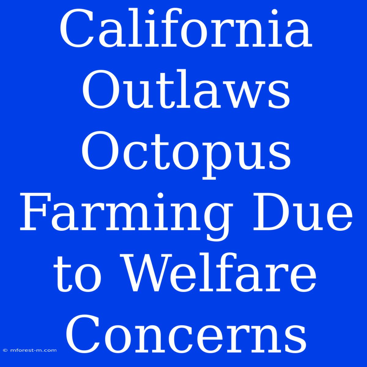 California Outlaws Octopus Farming Due To Welfare Concerns