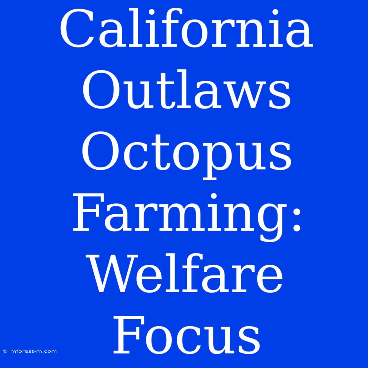 California Outlaws Octopus Farming: Welfare Focus