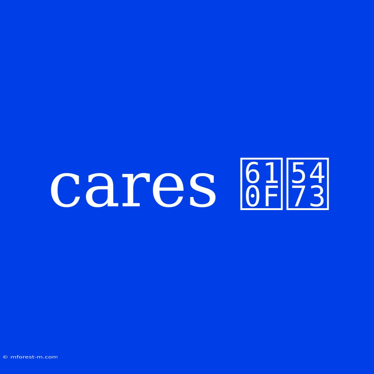 Cares 意味