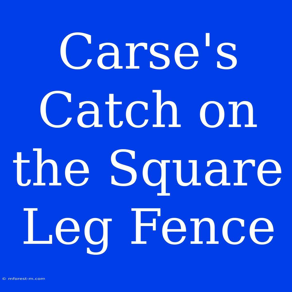 Carse's Catch On The Square Leg Fence