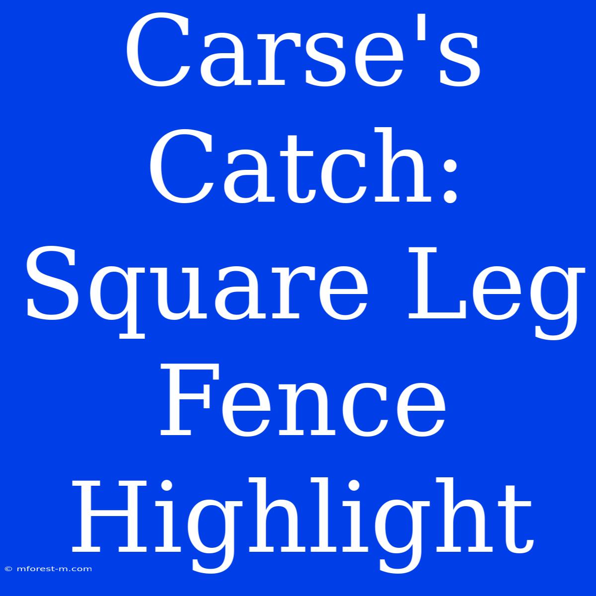 Carse's Catch: Square Leg Fence Highlight