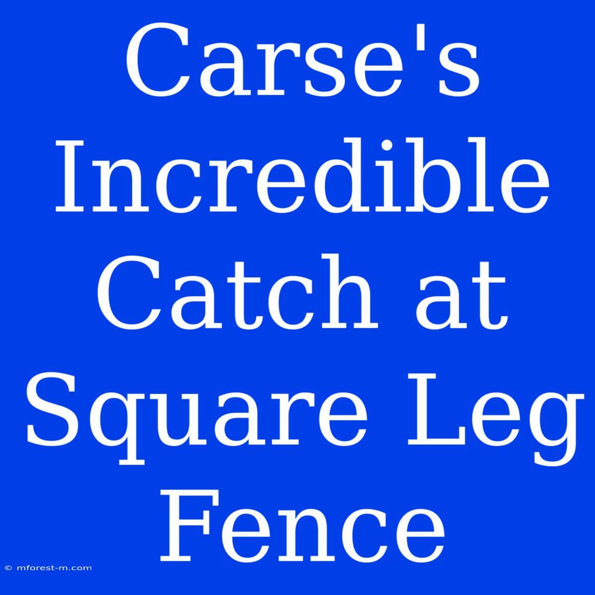 Carse's Incredible Catch At Square Leg Fence 