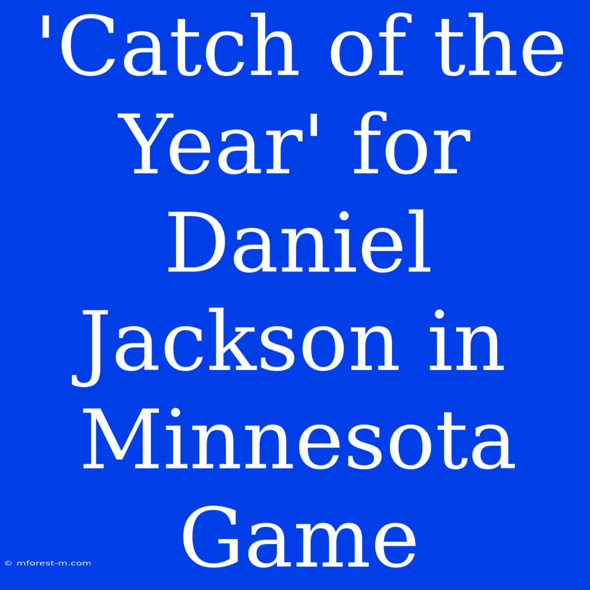 'Catch Of The Year' For Daniel Jackson In Minnesota Game