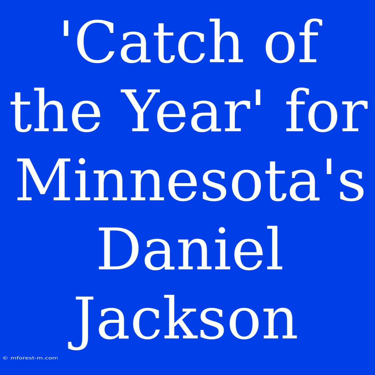 'Catch Of The Year' For Minnesota's Daniel Jackson