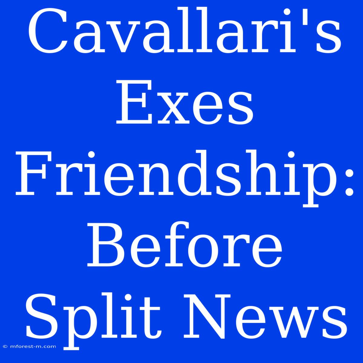 Cavallari's Exes Friendship: Before Split News