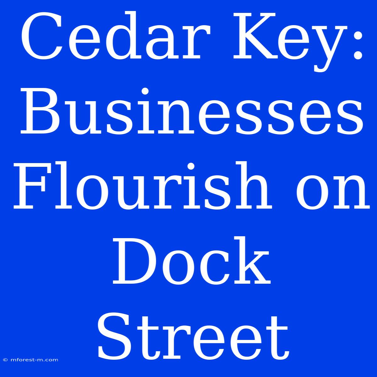 Cedar Key: Businesses Flourish On Dock Street