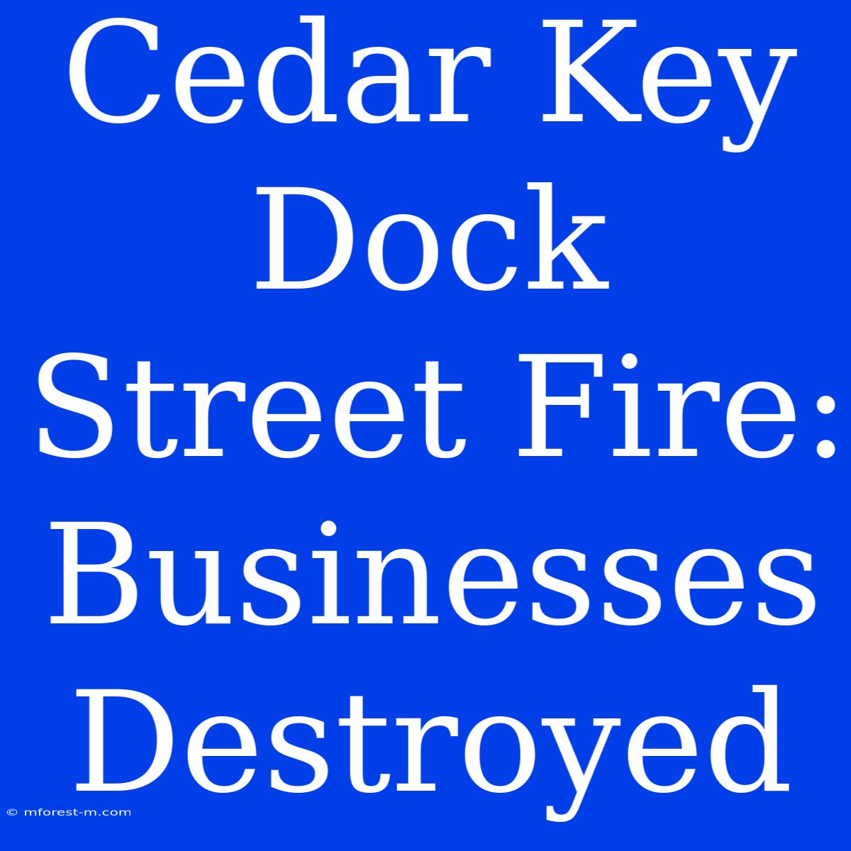 Cedar Key Dock Street Fire: Businesses Destroyed